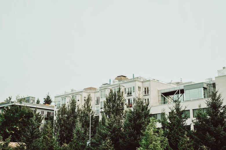 Какие нормативы защищают деревья при строительстве?